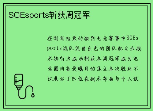 SGEsports斩获周冠军