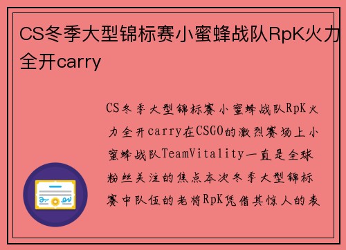 CS冬季大型锦标赛小蜜蜂战队RpK火力全开carry