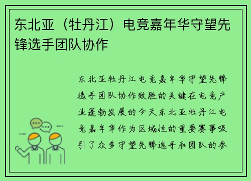东北亚（牡丹江）电竞嘉年华守望先锋选手团队协作